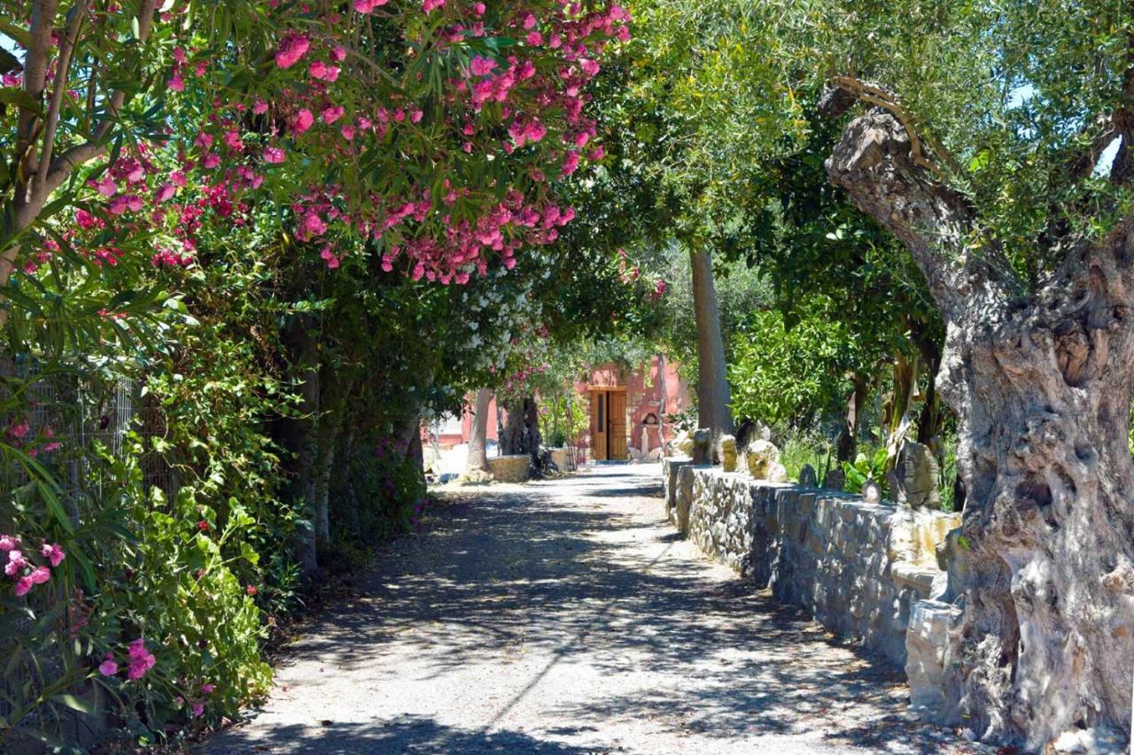 Avocado Villas Chania (Crete) Bagian luar foto
